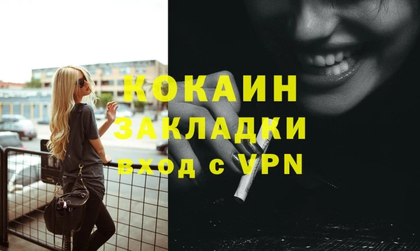сатива Покачи