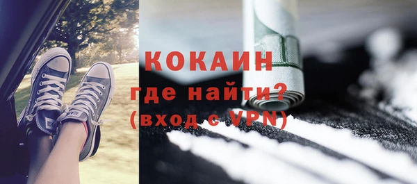 сатива Покачи