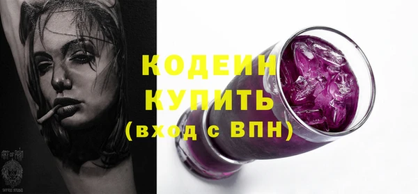 сатива Покачи