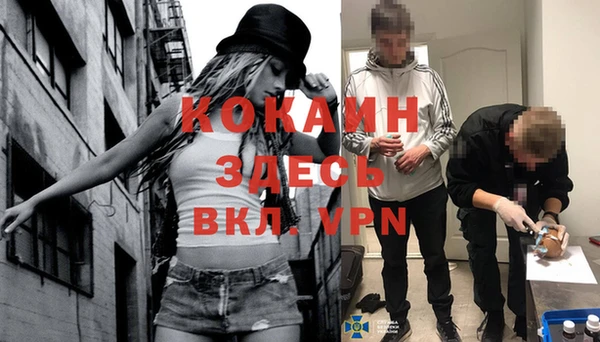 сатива Покачи