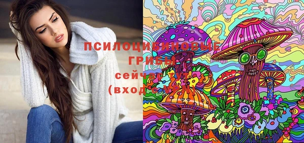 ПСИЛОЦИБИНОВЫЕ ГРИБЫ Пестово