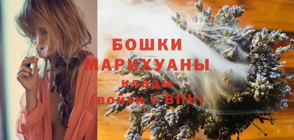 крисы Переславль-Залесский
