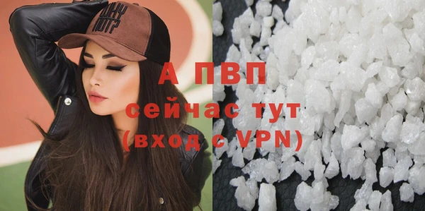 сатива Покачи