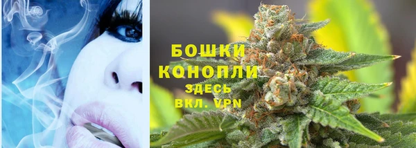 сатива Покачи