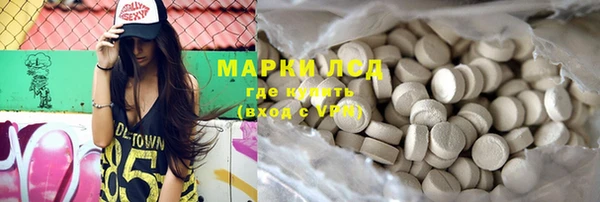 сатива Покачи