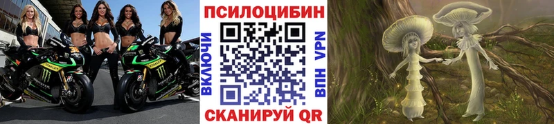 Псилоцибиновые грибы Cubensis  где найти   Сергач 
