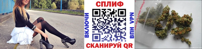 Бошки Шишки конопля  Сергач 